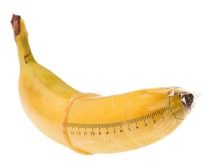 Erektoidun peniksen optimaalinen koko on 10-16 cm
